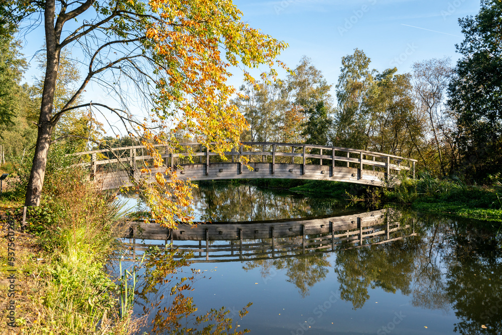 bridge in the park