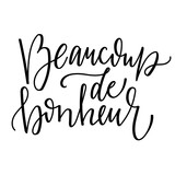 Hand drawn french lettering 