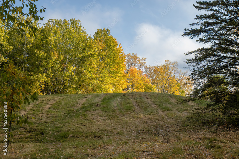 A grassy knoll in parkland on a sunny day in autumn with fall foliage, nobody