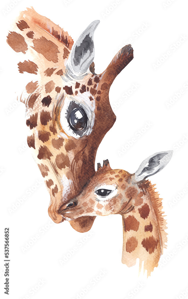 Obraz premium Watercolor giraffe mom with kid illustration isolated on transparent background