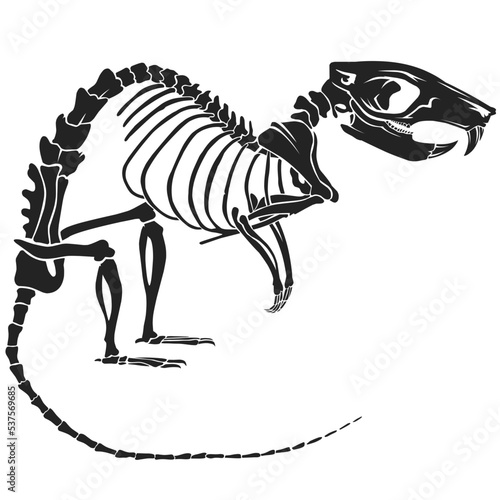 Rat skeleton illustration