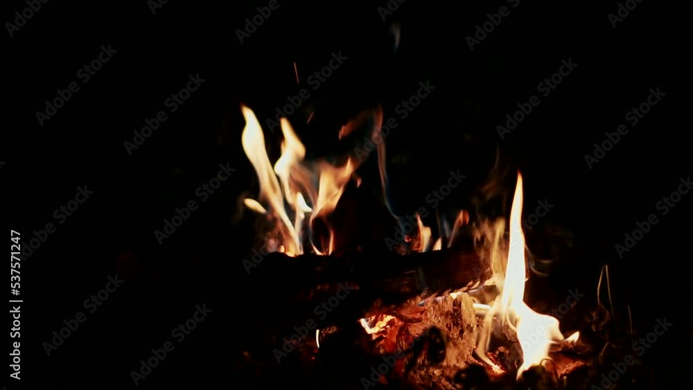 Fire Burns In Fireplace. Burning Big Flame Traditional Firewood. Roasting Bread. Stone Wood Stove. Brick Pizza Oven With Fire. Cooking Or Baking In Wood Fired Pizza Oven In Italian Pizzeria Restaurant Fire Burns In Fireplace. Burning Big Flame Traditional Firewood. Roasting Bread. Stone Wood Stove. Brick Pizza Oven With Fire. Cooking Or Baking In Wood Fired Pizza Oven In Italian Pizzeria Restaurant