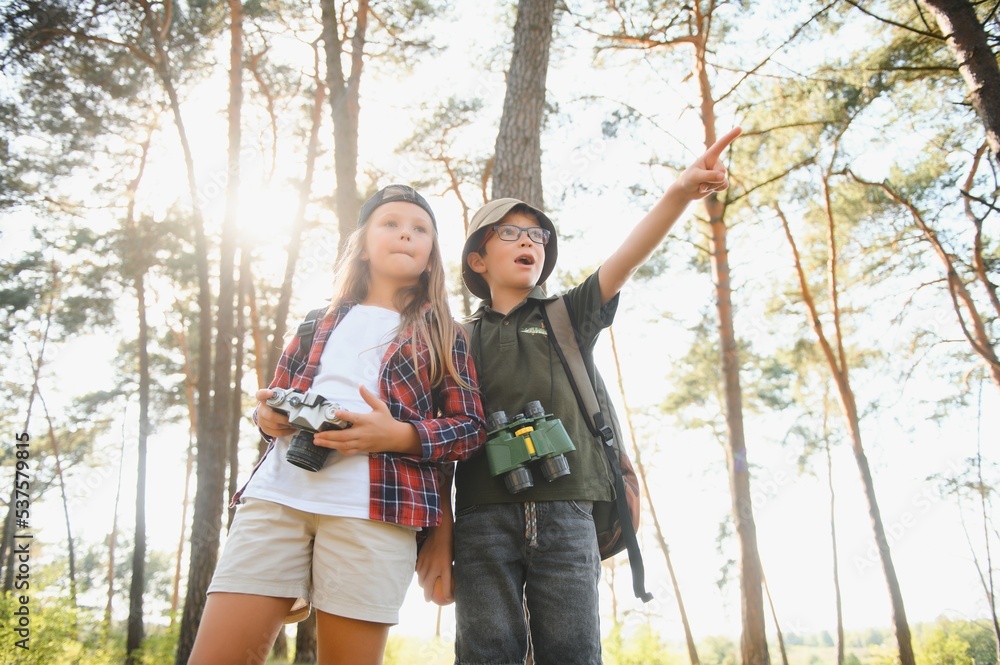kids scouts in the forest. kids scouts in the forest.