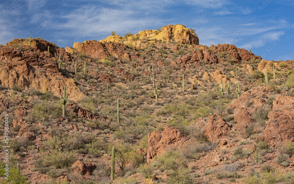 Fototapeta premium Spring landscape of the Superstition Wilderness Area near sunset, Apache Trail, Tonto National Forest, Arizona, USA
