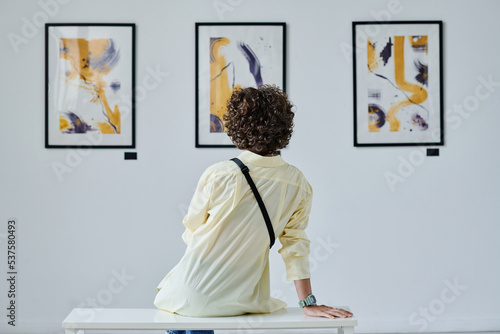 Slika na platnu Rear view of young woman with curly hair sitting in front of pictures on the wal