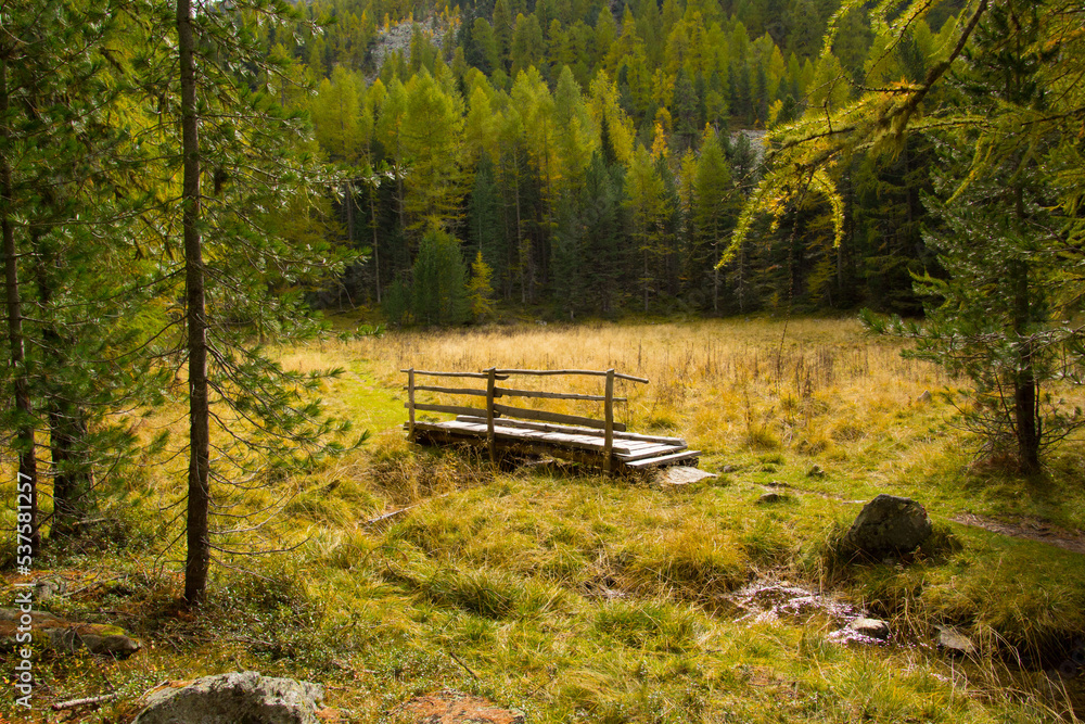 Obraz premium Hochmoor auf dem Weg zur Zirmtalalm im Vinschgau in Herbstlichrer färbung
