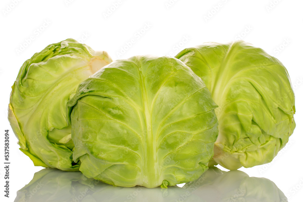 Three fresh white cabbage, macro, isolated on white background. Three fresh white cabbage, macro, isolated on white background.