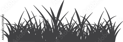 Black grass silhouette. Growing lawn plant border