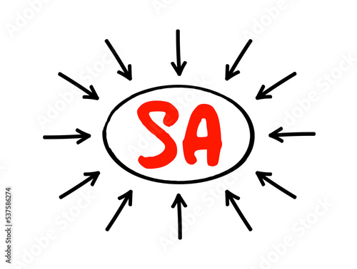 SA - Systems Analyst is a person who uses analysis and design techniques to solve business problems using information technology, acronym text concept with arrows