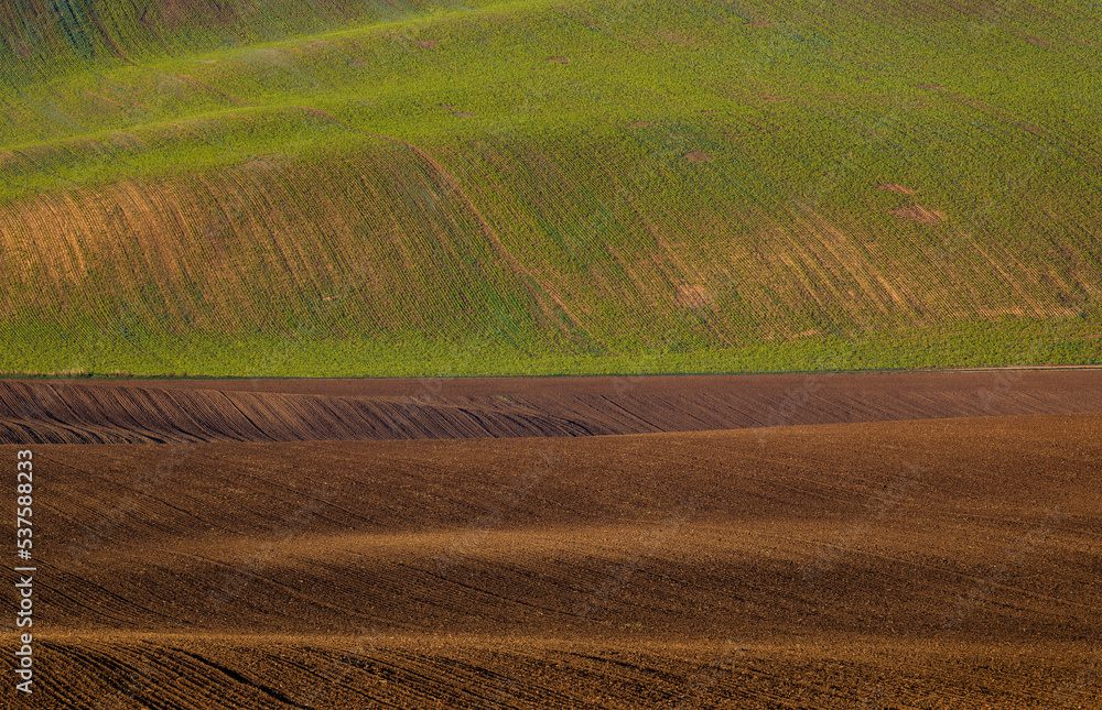 Fototapeta premium Cultivated fields in Czech Moravia, patterns and lines on the ground. Czech Tuscany