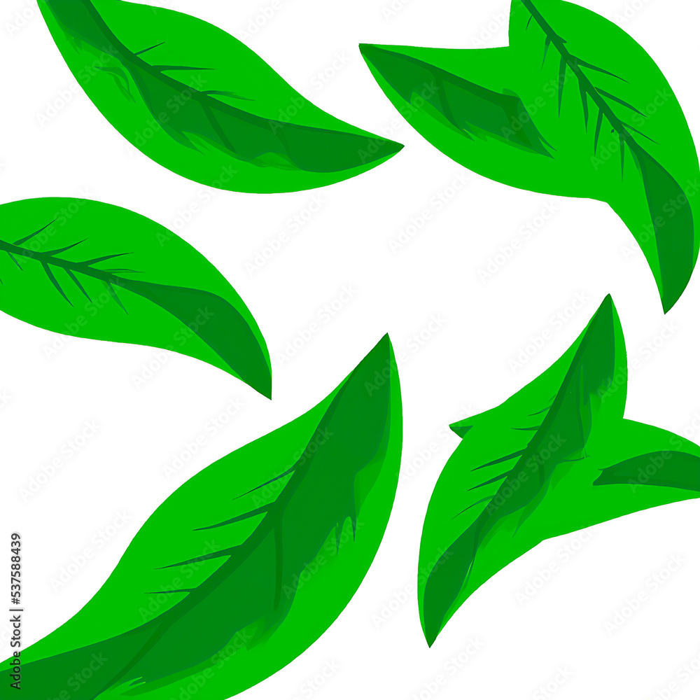 green leaves on white background green leaves on white background
