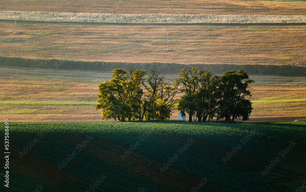Fototapeta premium A white chapel in a small forest grove in Czech Moravia, autumn