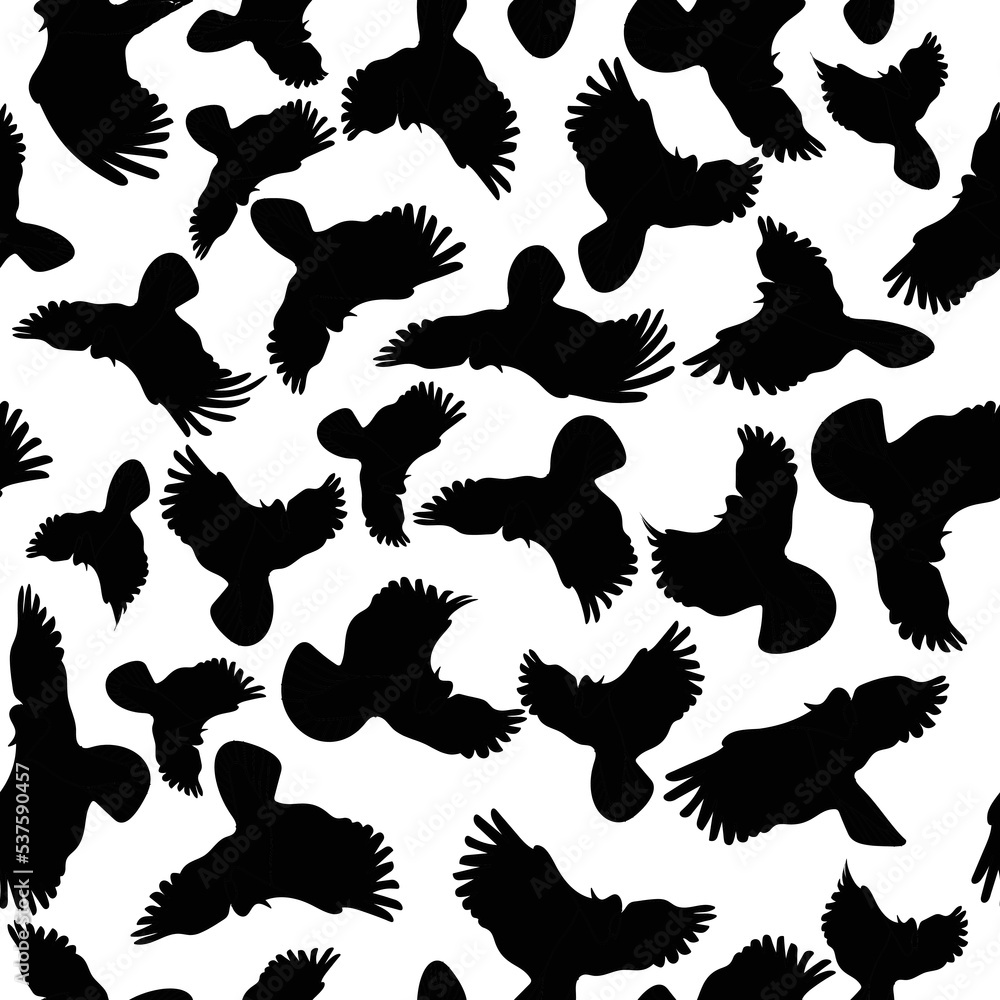 Obraz premium Black and white flying cockatoo seamless pattern