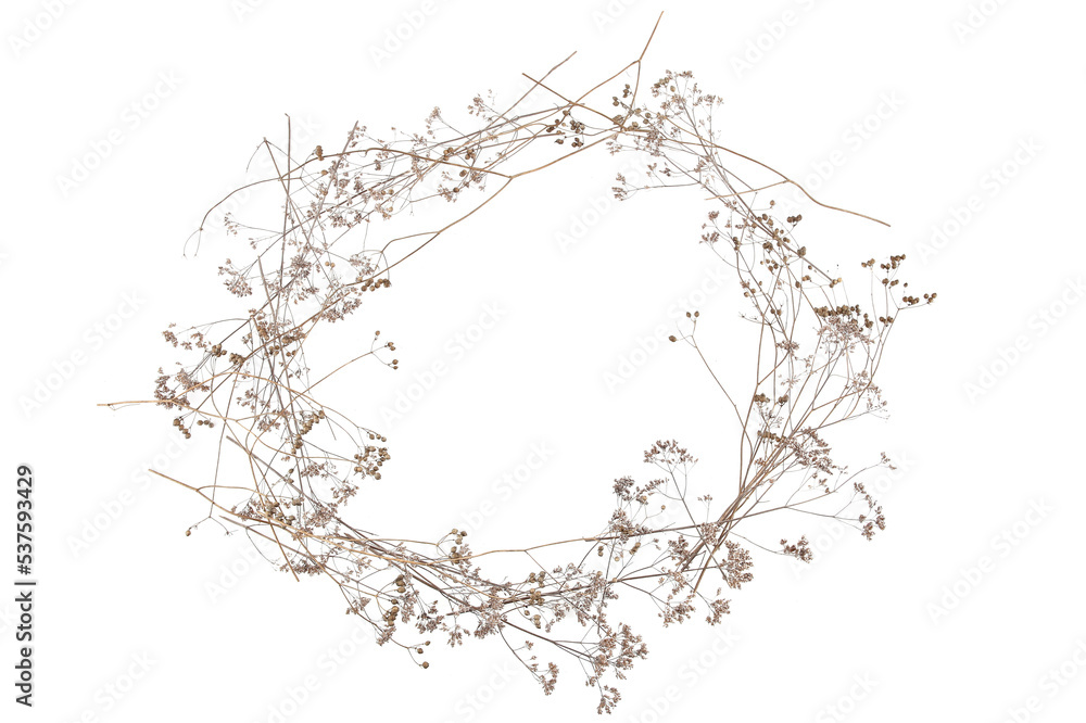 Frame of dry wild meadow grasses or herbs isolated on white background. Border of dry field flowers. Winter pattern background.