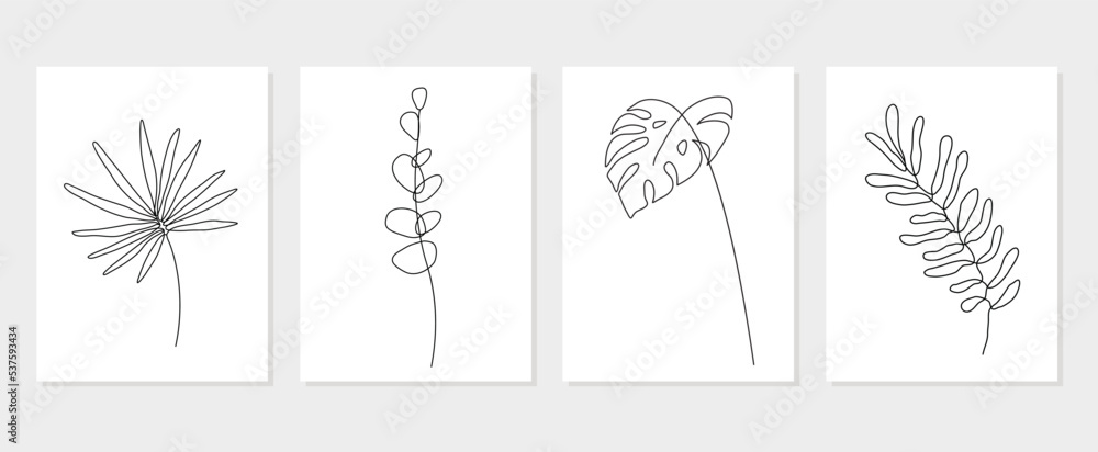 Vector set of hand drawn line tropical monstera, eucalyptus leaves illustrations, wall art minimalist floral plants prints, home decor posters, Mid Century Modern logo design elements Vector set of hand drawn line tropical monstera, eucalyptus leaves illustrations, wall art minimalist floral plants prints, home decor posters, Mid Century Modern logo design elements