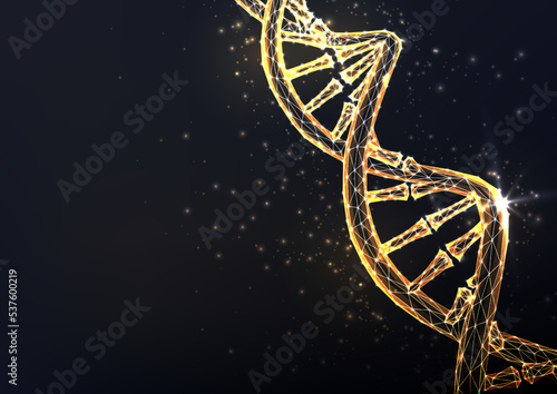 Abstract gold DNA helix structure on black background. Concept of genes, genealogy, genetics