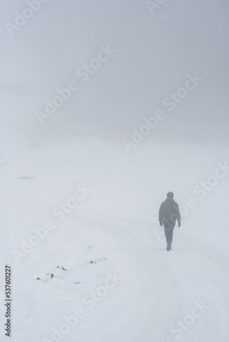 A man from behind walking in snow
