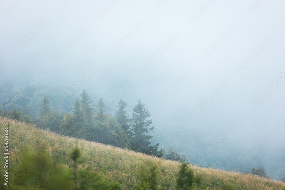 Bieszczady meadows covered with fog Bieszczady meadows covered with fog