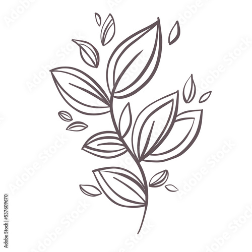element. Minimalist floral branch for logo or tattoo. Hand drawn flowers and leaves. Botanical trendy greenery for invitation save the date card  © Julia