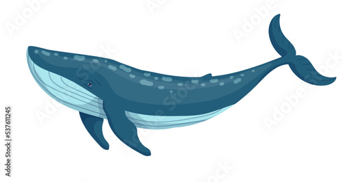 Marine mammal blue whale.Cartoon vector graphic.