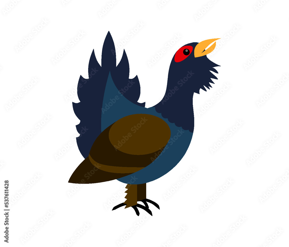 Fototapeta premium Grouse pheasant bird wild hunting forest fauna flat. Wild animal nature winged feathers tail beak male aggressive stand full height hobby sport active meat cook survival store animal husbandry website