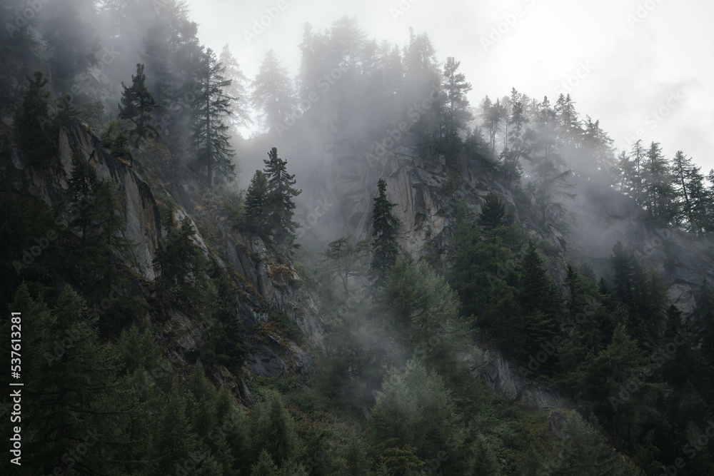 Mysterious photography of cloudy trees in the swiss alps