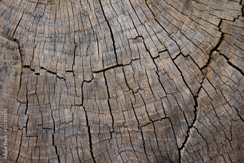Old wooden texture. Wood background. Wooden texture with cracks.