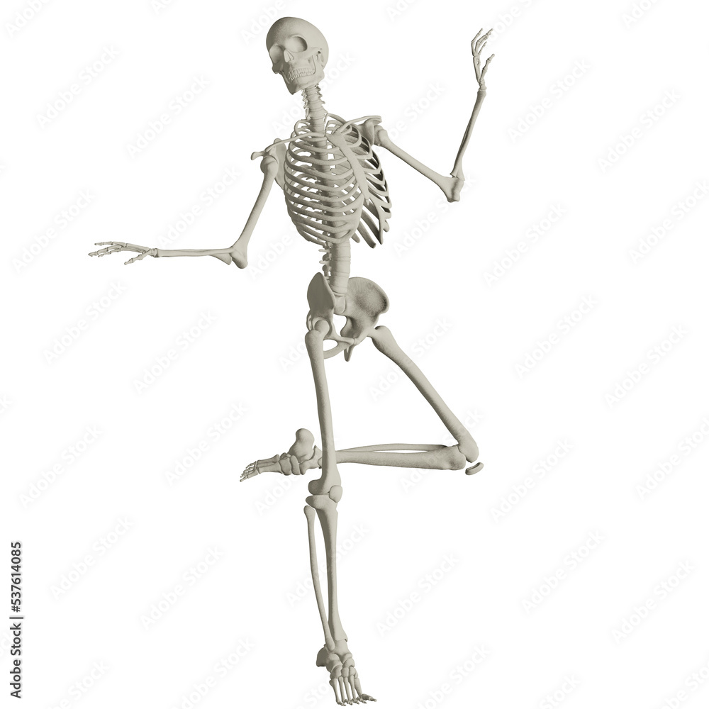skeleton posing 3d render illustration skeleton posing 3d render illustration