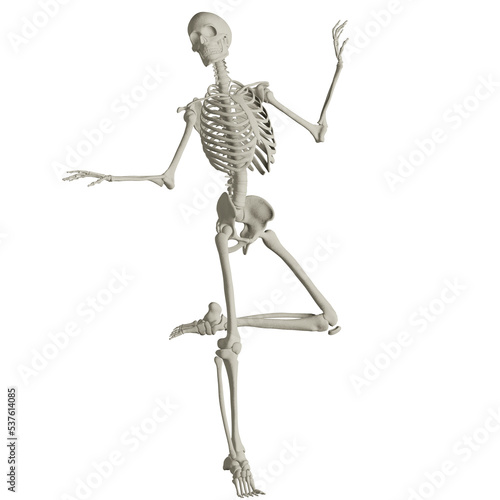 skeleton posing 3d render illustration © dada_design