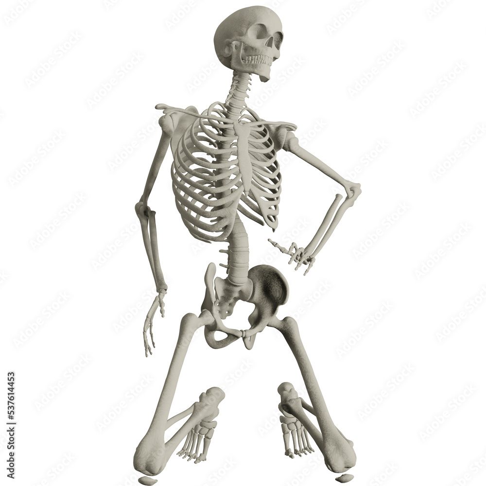 skeleton posing 3d render illustration skeleton posing 3d render illustration