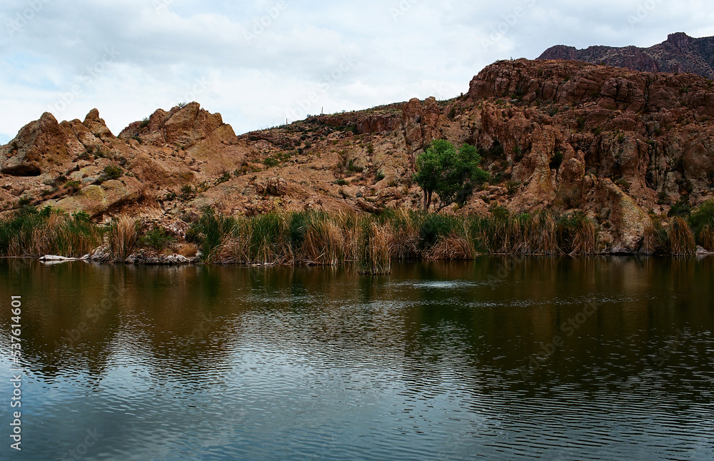 Arizona Desert Pond