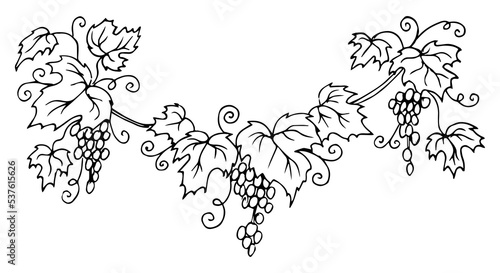 Set of grapes monochrome sketch. Hand drawn grape bunches. Decorative doodles in vector illustration. For icon, sticker, logo, wine. 