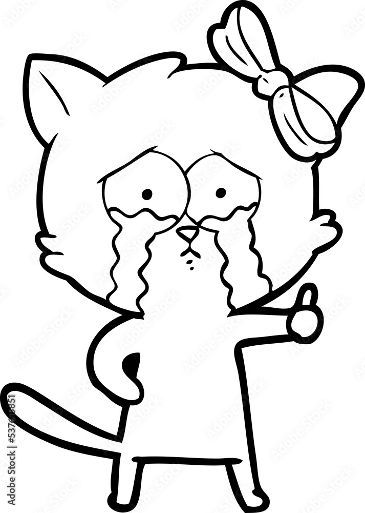 cartoon cat cartoon cat