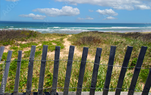 Snow Fence and Dunes at Coast Guard Beach at the Cape Cod National Seashore