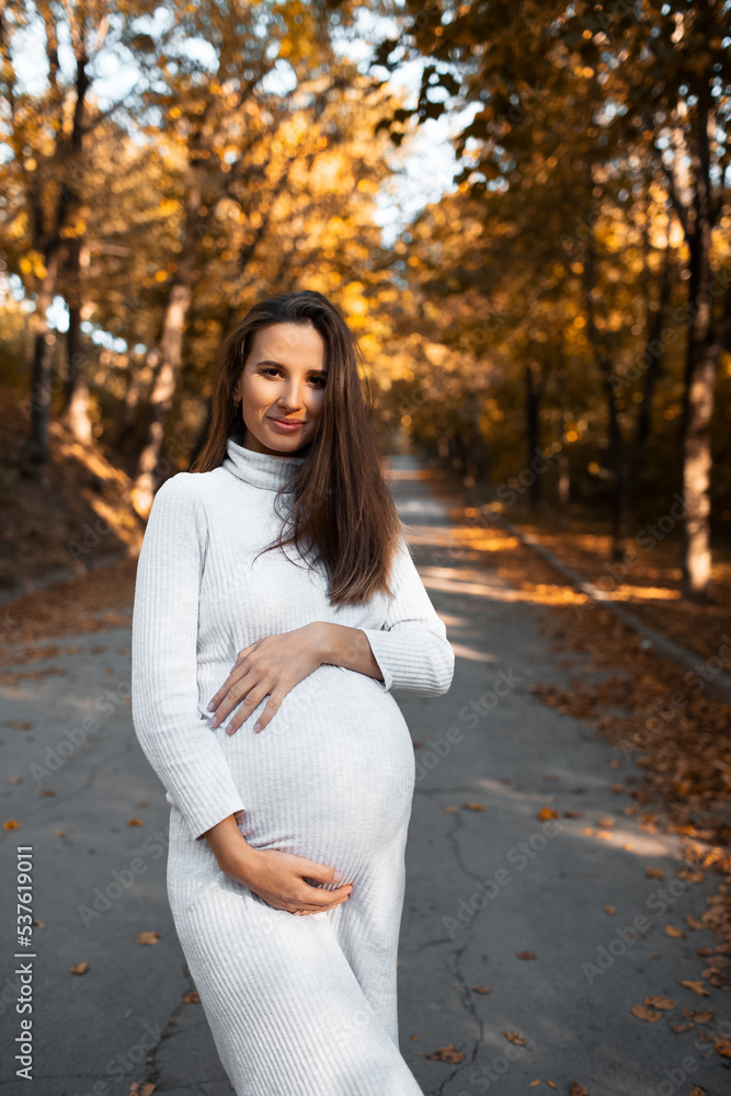 Portrait of young pregnant smiling woman with hands on belly, wearing white dress on background of golden autumn park. Portrait of young pregnant smiling woman with hands on belly, wearing white dress on background of golden autumn park.