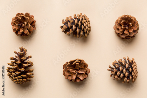 pine cones on colored table. natural holiday background with pinecones grouped together. Flat lay. Winter concept