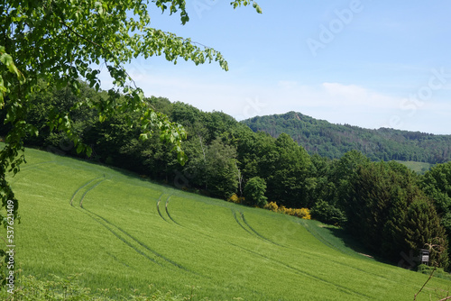 Feld bei Rossbach im Wiedtal mit Rossbacher Haeubchen photo