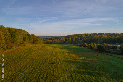 Horses on rural land from above