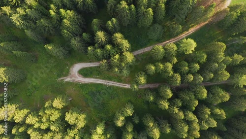 Sentiero nel bosco strada forestale dall'alto vista uccello  drone photo