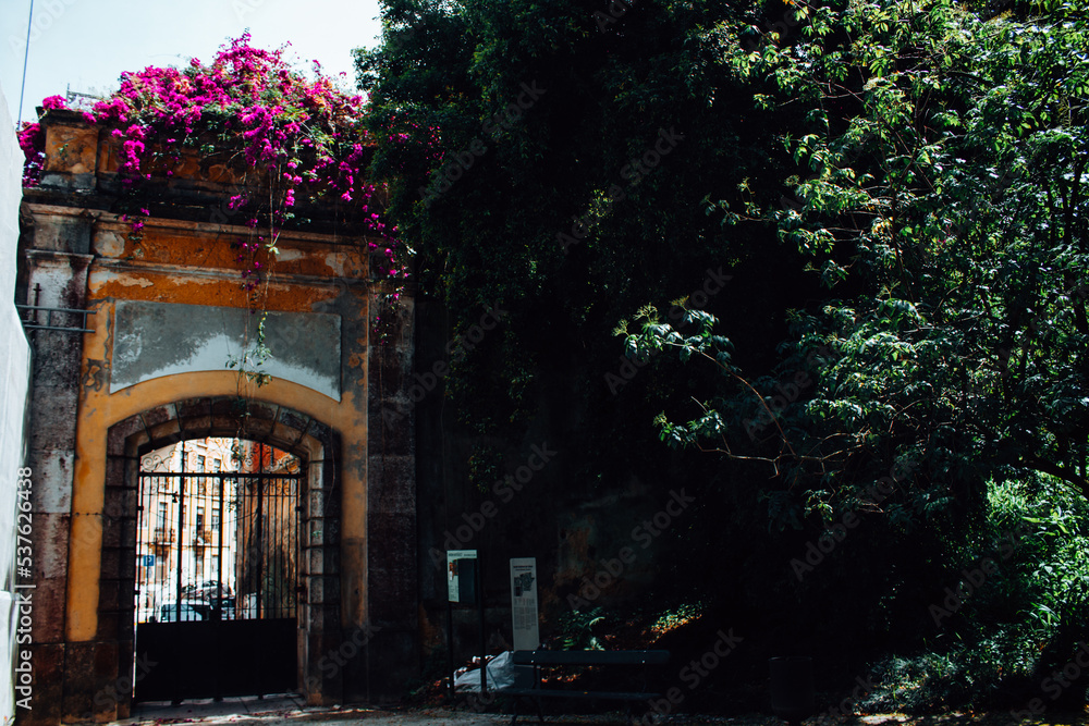 Fototapeta premium Garden gate