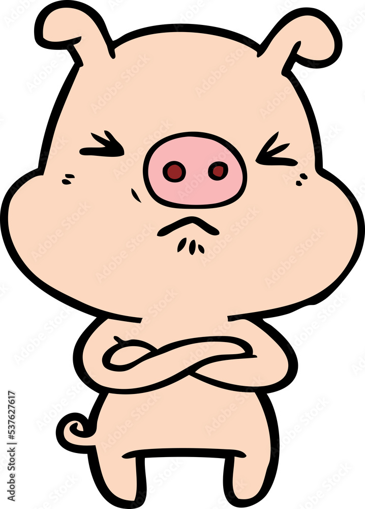 cartoon angry pig cartoon angry pig