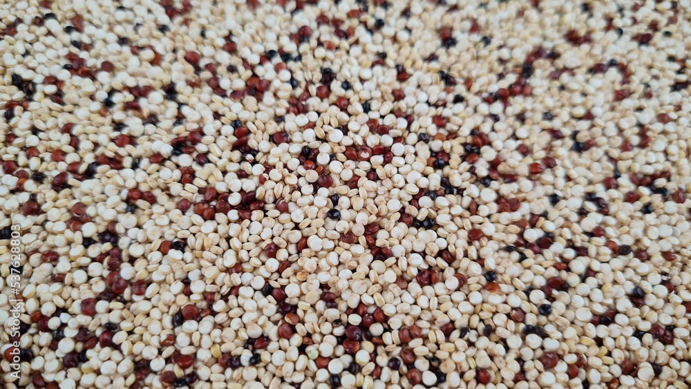 Mixed Quinoa seeds full frame macro background Mixed Quinoa seeds full frame macro background