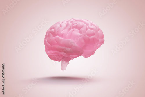 cerveau humain - illustration 3D photo