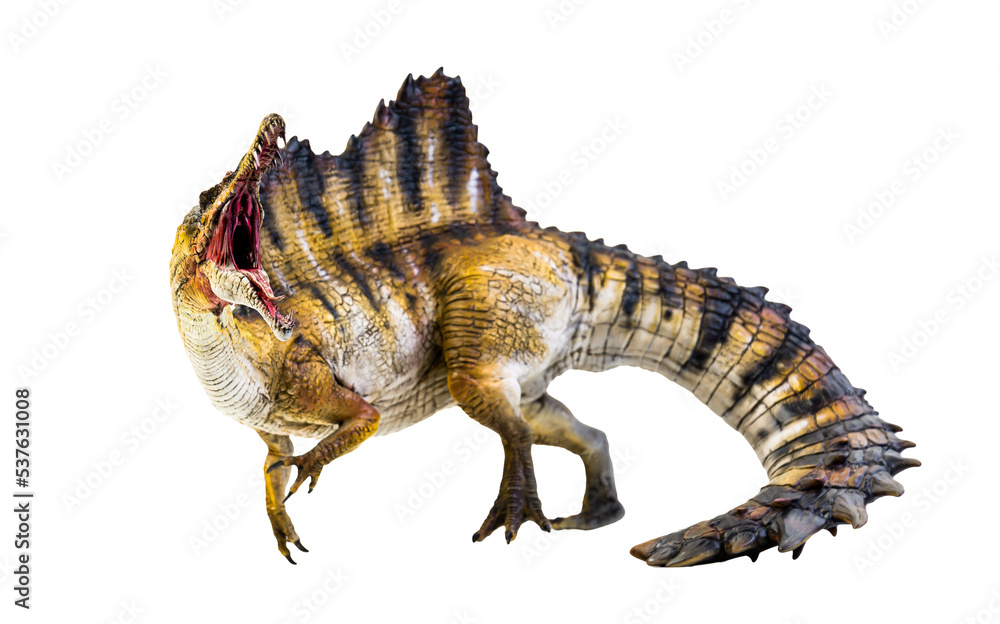 dinosaur , spinosaurus isolated background Stock Photo | Adobe Stock