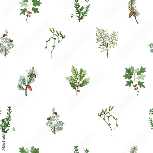 Elegant stylish vintage seamless pattern with plants, cones and spruce trees isolated on transparent background
