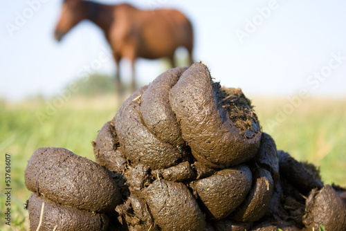 organic fertilizer