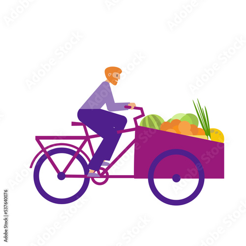 Man on cargobike carries fruits and vegetables from market. Rider on bakfiets on a shopping. Flat vector illustration