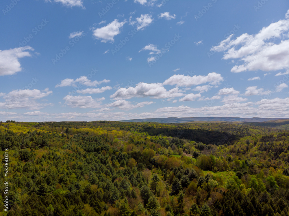 Forest in mountains from height, with clouds on background sky