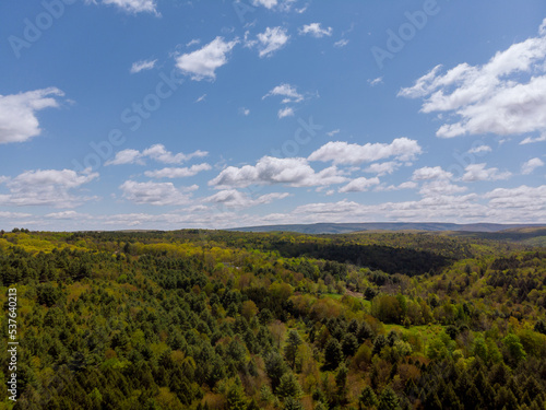 Forest in mountains from height  with clouds on background sky