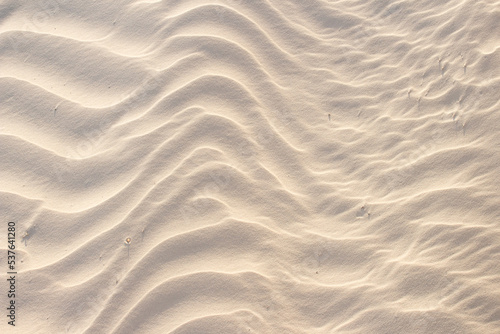 sand beige texture  in a sunny day - texture